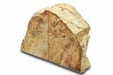 Petrified Wood (Tropical Hardwood) Bookends - Indonesia #275603-1